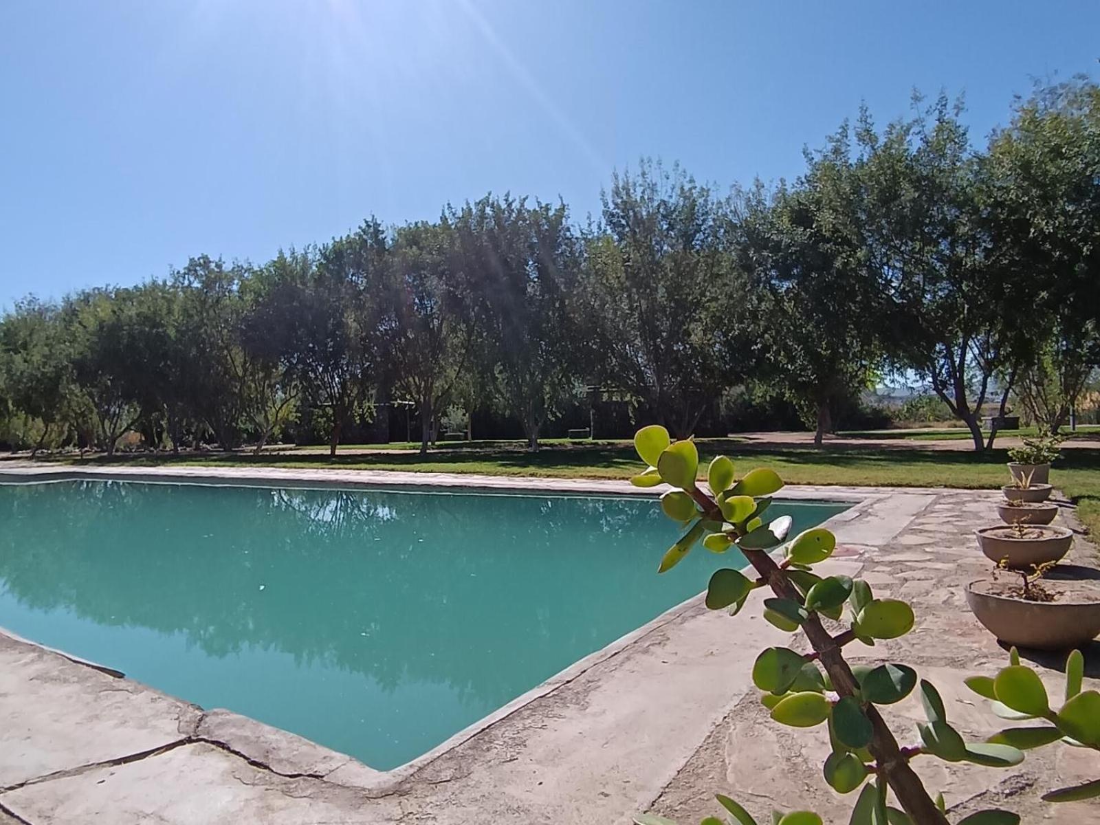 Kwelanga River Lodge Vioolsdrift Exterior foto